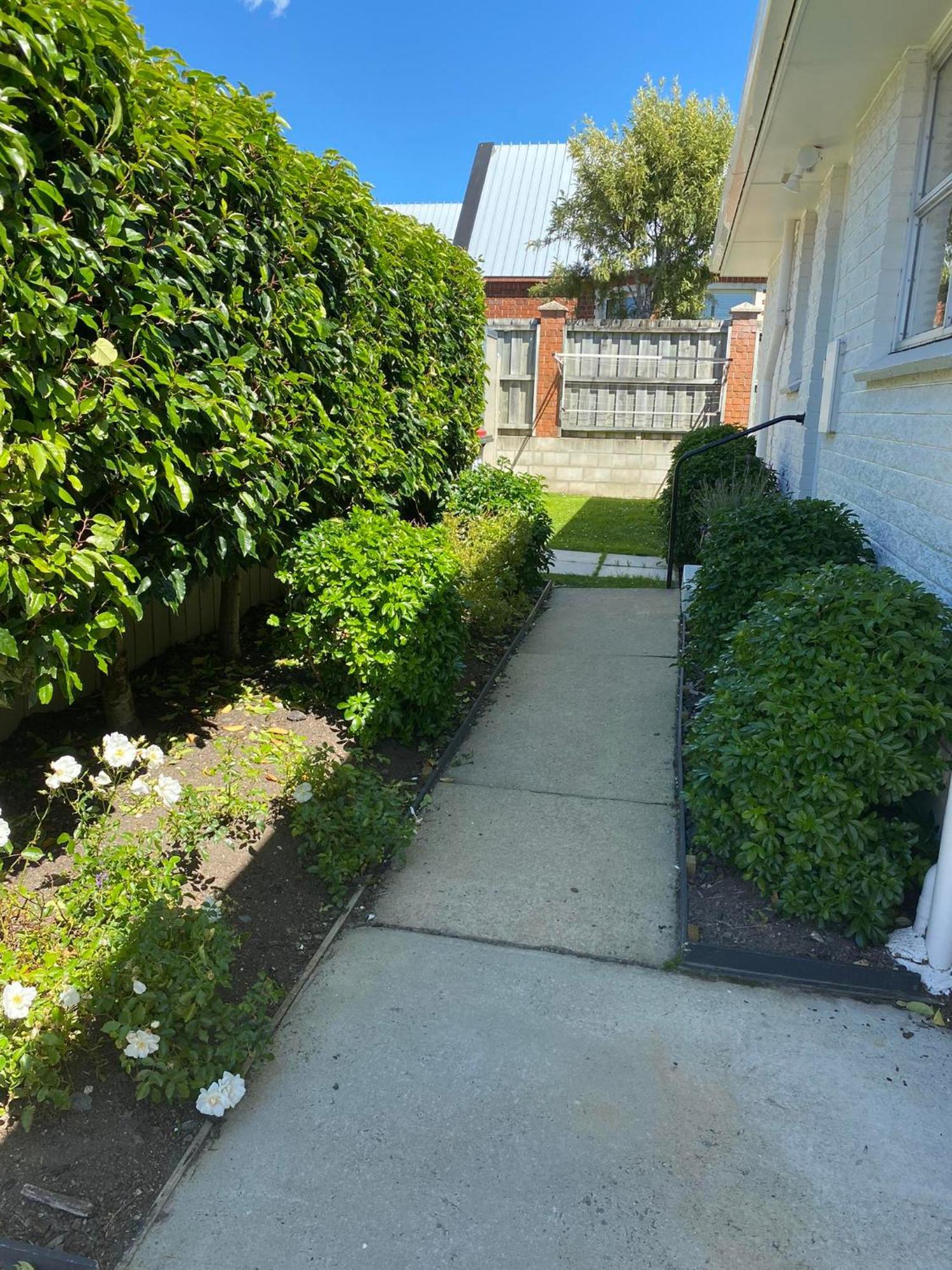 253 On Highgate Appartement Dunedin Buitenkant foto